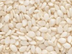 Sesamo blancos