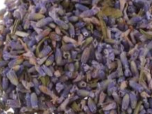 Lavanda