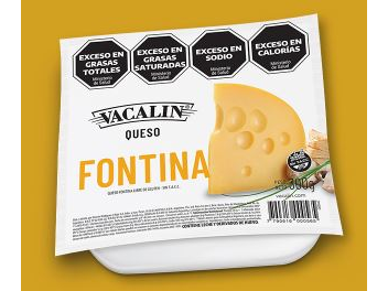 Queso Fontina