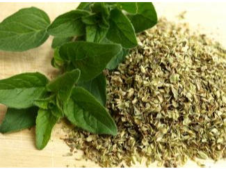 Oregano 50 grs
