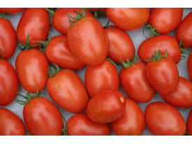 TOMATE PERITA
