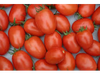 TOMATE PERITA
