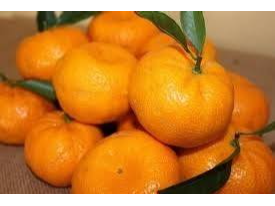 MANDARINA CRIOLLA