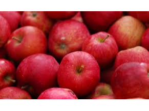 MANZANA ECONOMICA