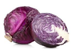 REPOLLO MORADO