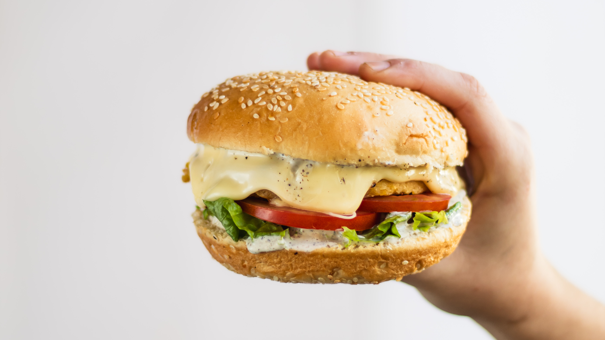 Hamburguesas veggies