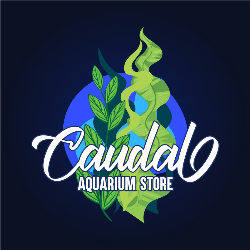 Logo Caudal Aquarium Store