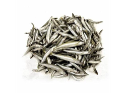 Cornalitos IQF xkg