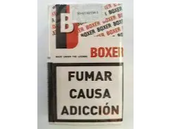 Boxer 10 x 20