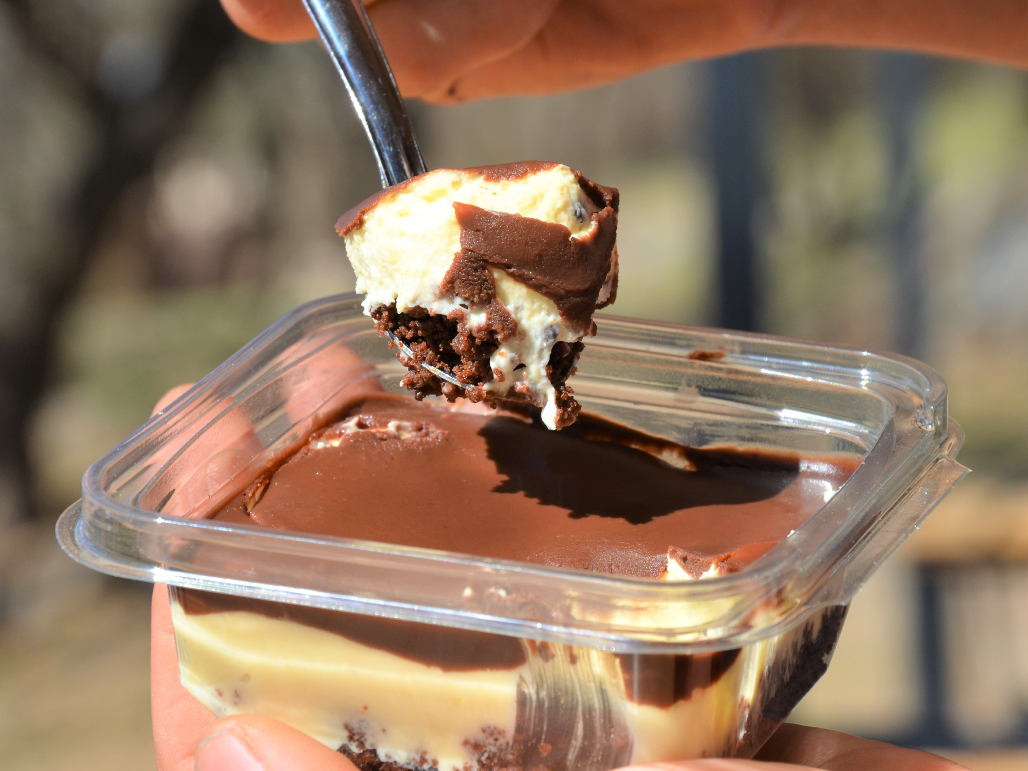 POSTRES