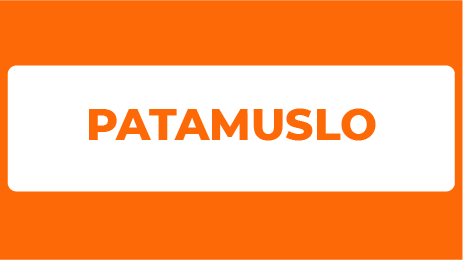 PATAMUSLO