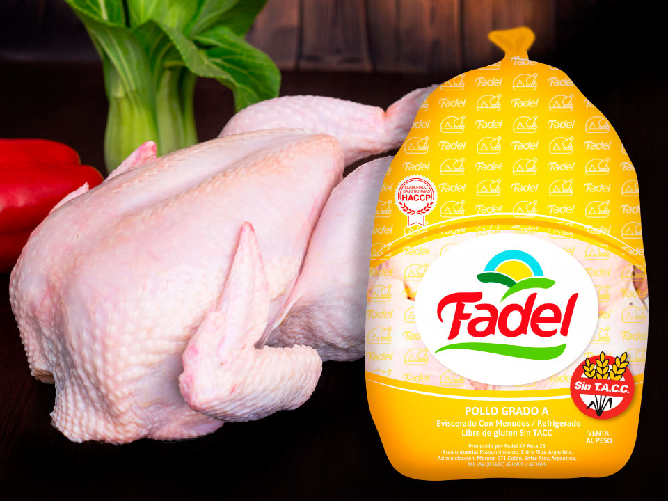 GALLINA FADEL X20 KG