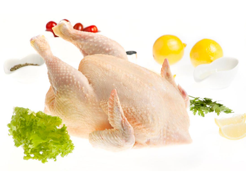 GALLINA "POLLOTUC" X20KG