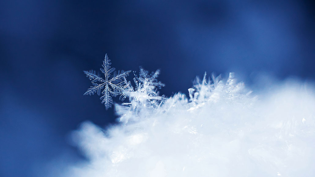SNOW BOX