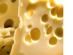 Holanda Lácteos Premium