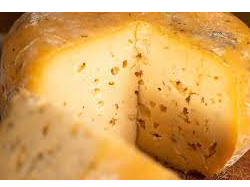 Criollo Lácteos Premium