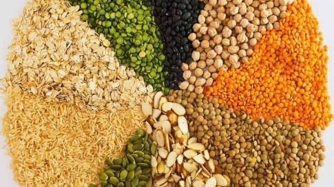 Semillas - Harinas -Legumbres