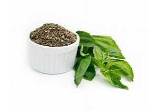 Albahaca