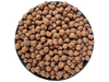 Bolitas de Chocolate