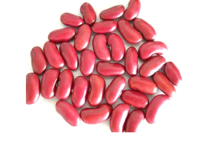Poroto Rojo
