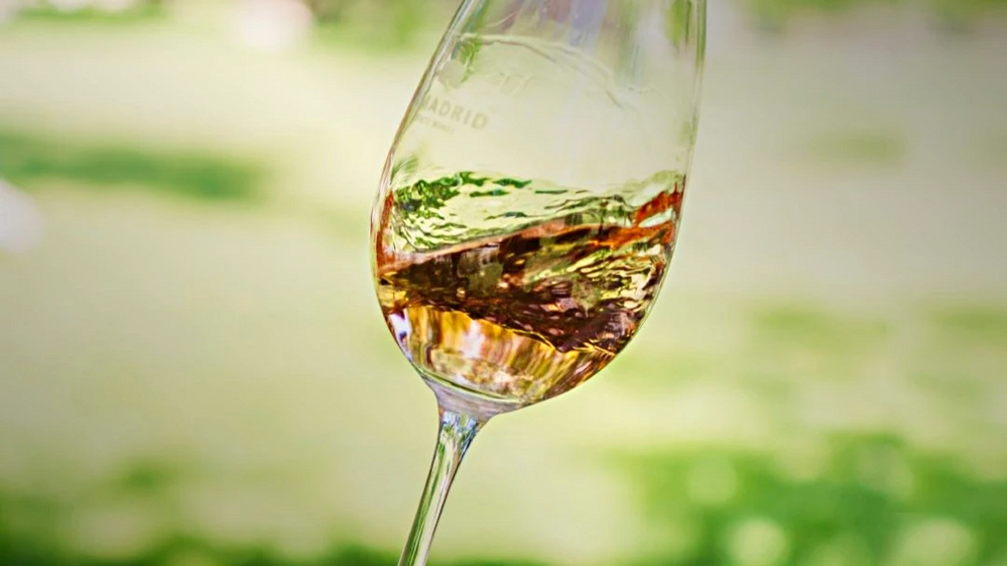 SEMANA DEL BRINDIS