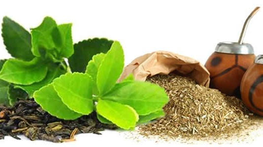 TÉS Y YERBA MATE