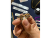 Anillo Rolex oro y Plata
