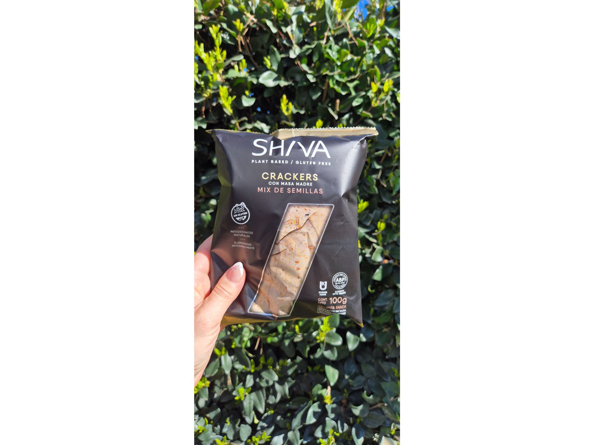 Shiva mix se semillas