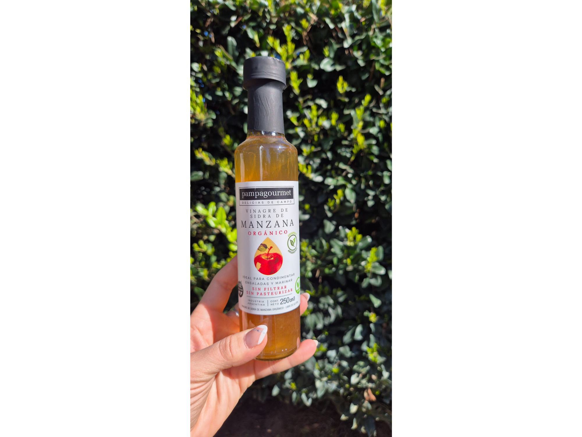 Vinagre sidra de manzana organico