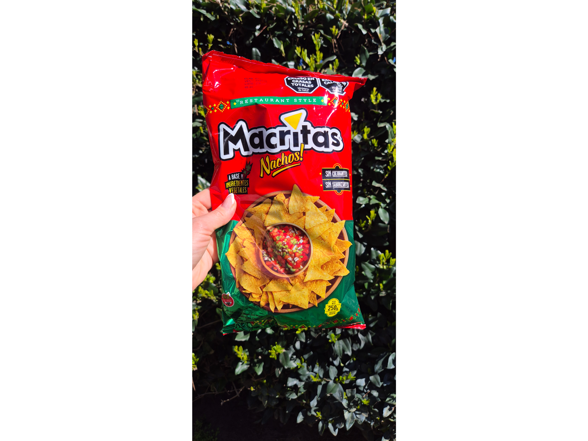 Nachos Macritas