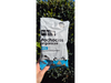 Pochoclos organicos salados