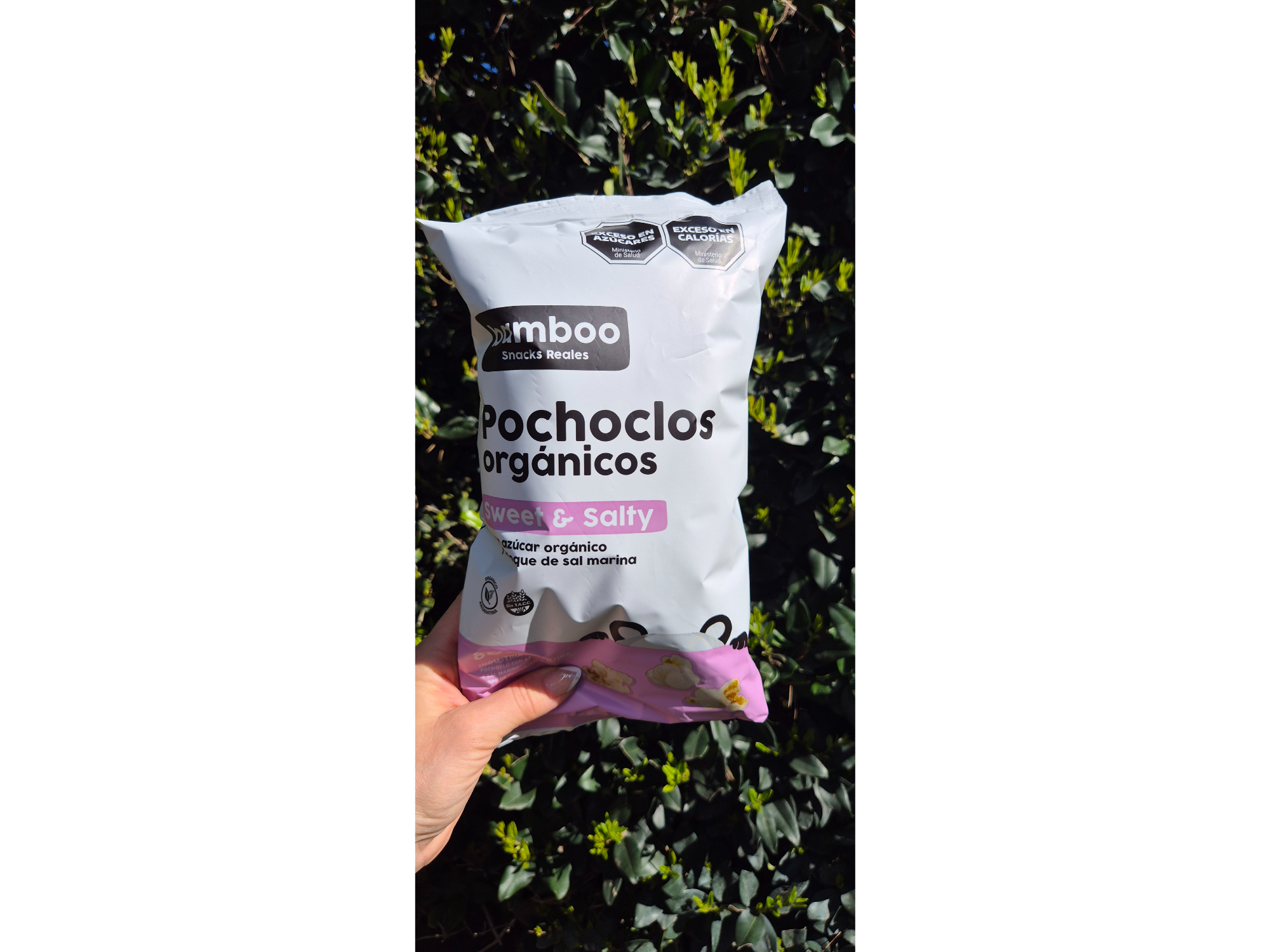 Pochoclos bamboo sweet & salty