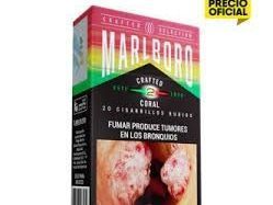 MARLBORO CRAFTED CORAL X20