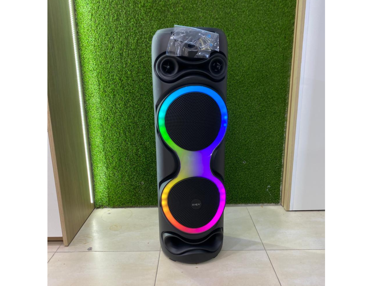 Parlante XAEA 10X2"