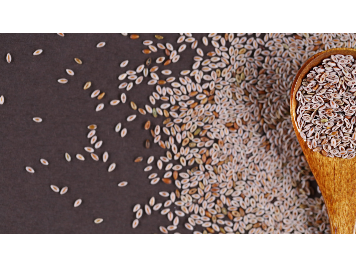 Psyllium