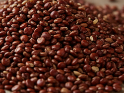 Quinoa Roja