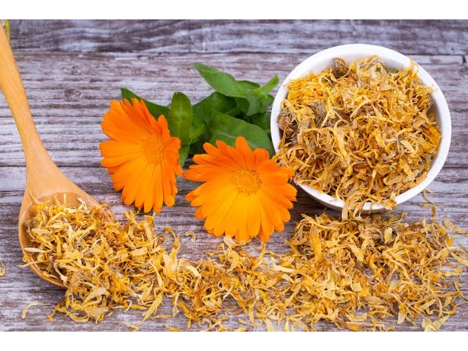 Calendula Flores