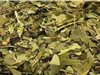 Yerba Ajedrez