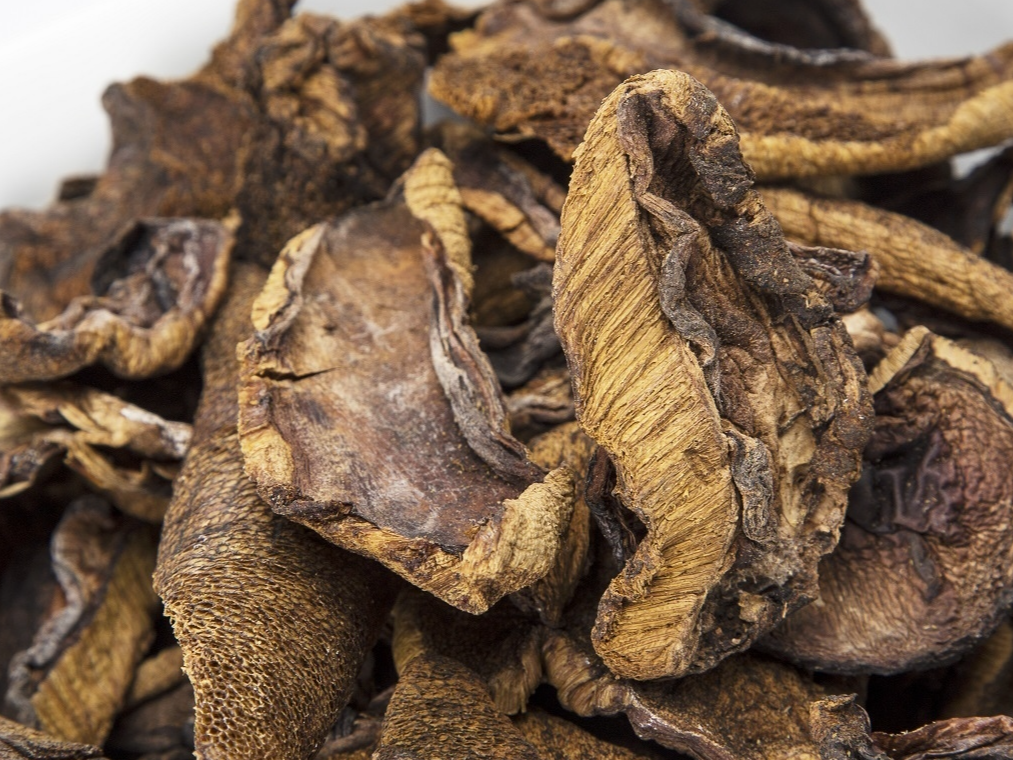 Hongos secos de pino