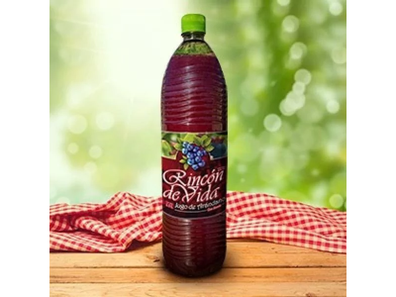 Jugo de Arandanos 500 cc RINCON DE VIDA