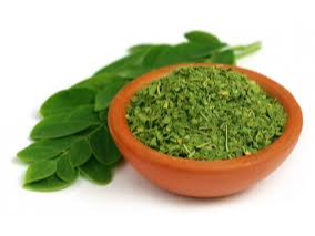 Moringa  Hierbas del Oasis 25 gr