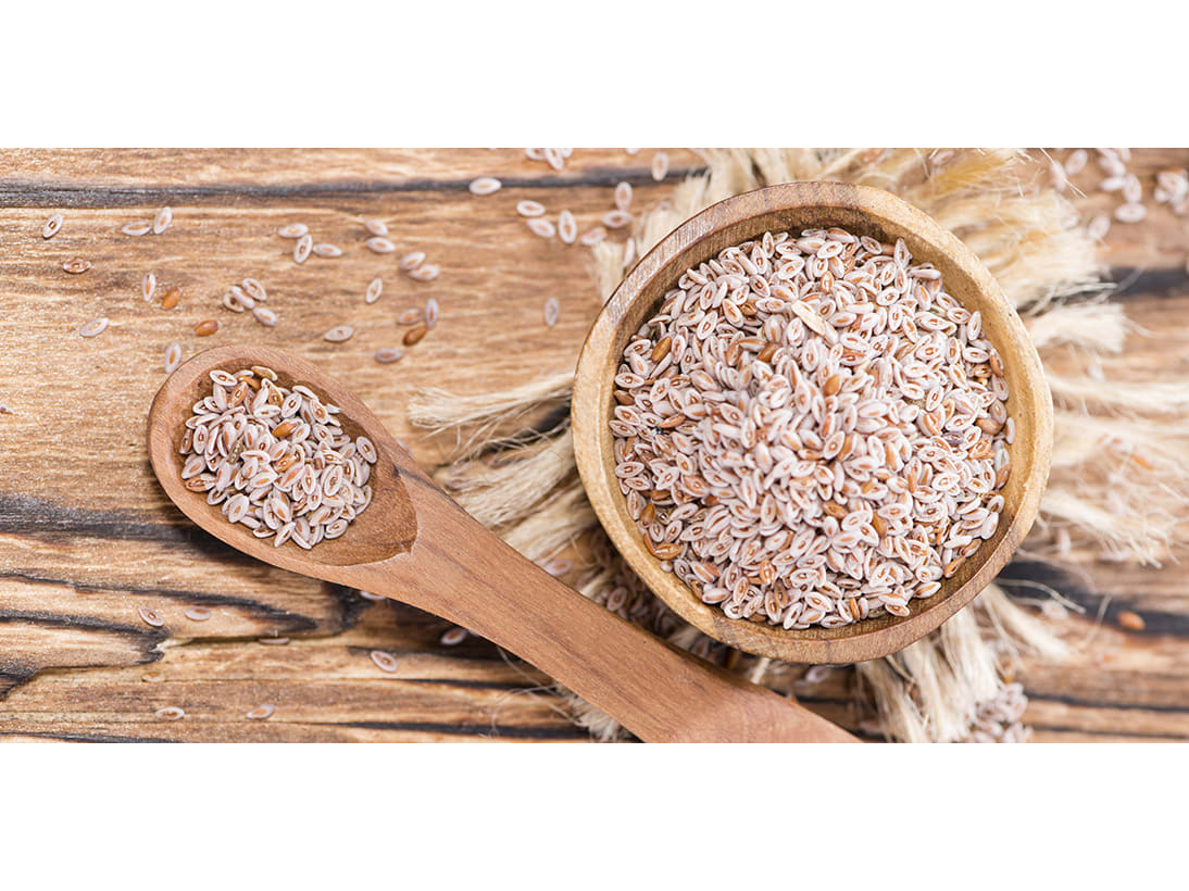 Semillas Psyllium
