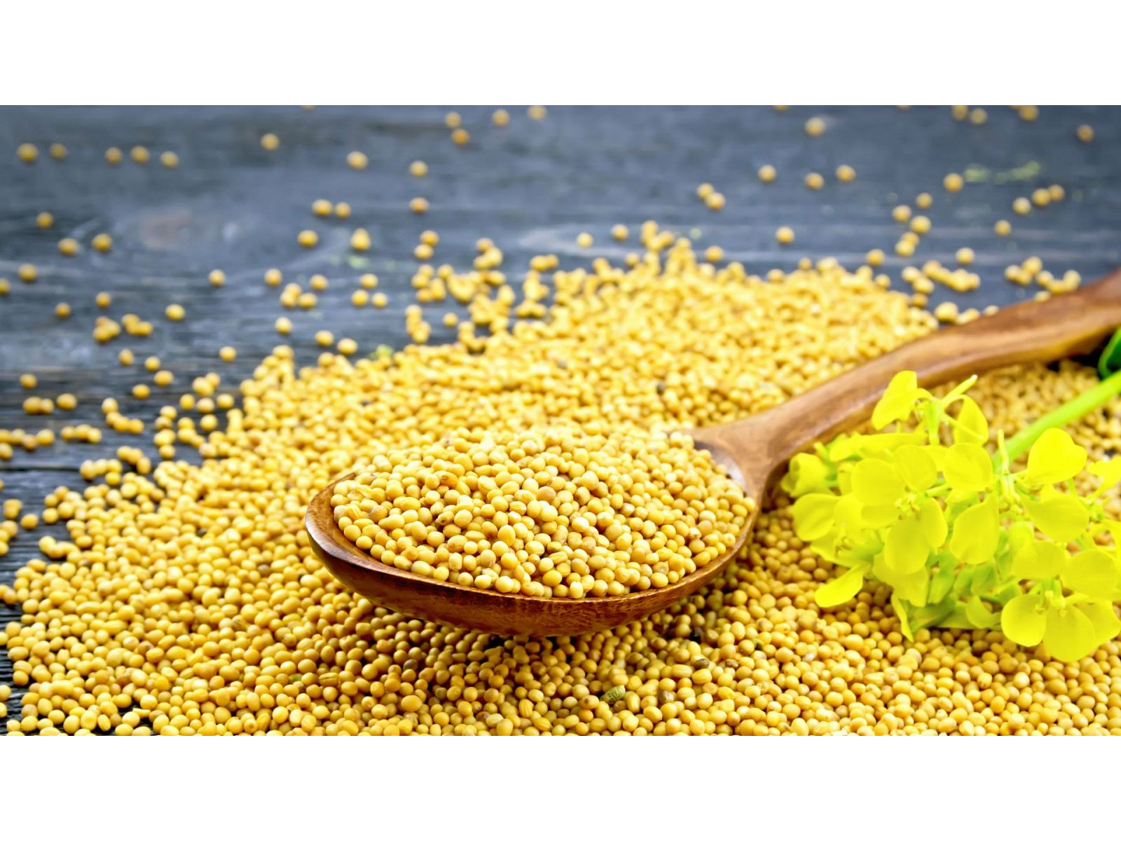 Mostaza Amarilla en Grano 100 gr