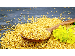 Mostaza Amarilla en Grano 100 gr