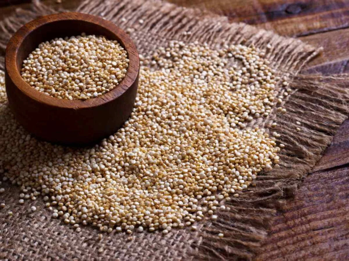 Semilla de Quinoa