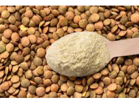 Harina de Lentejas