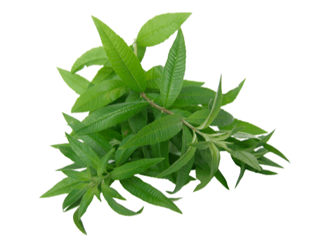 Te de Burro Hierbas del Oasis 25 gramos