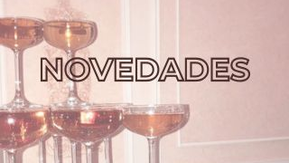 NOVEDADES - Nuevos Ingresos