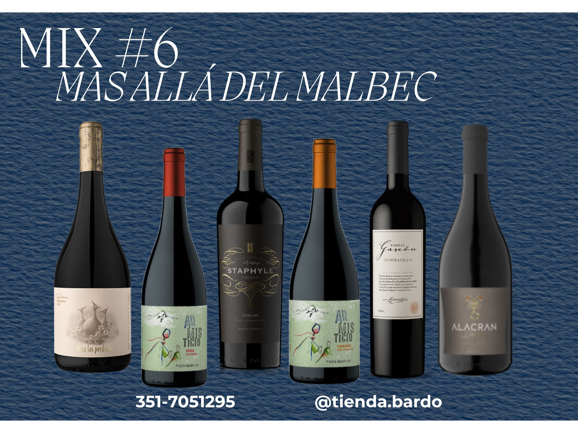 MIX 6 - MAS ALLÁ DEL MALBEC