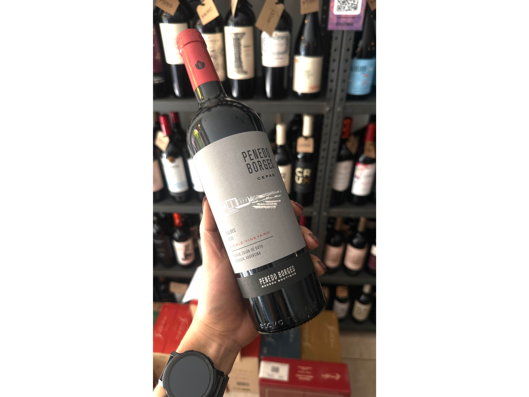 Penedo Borges Cepas Malbec